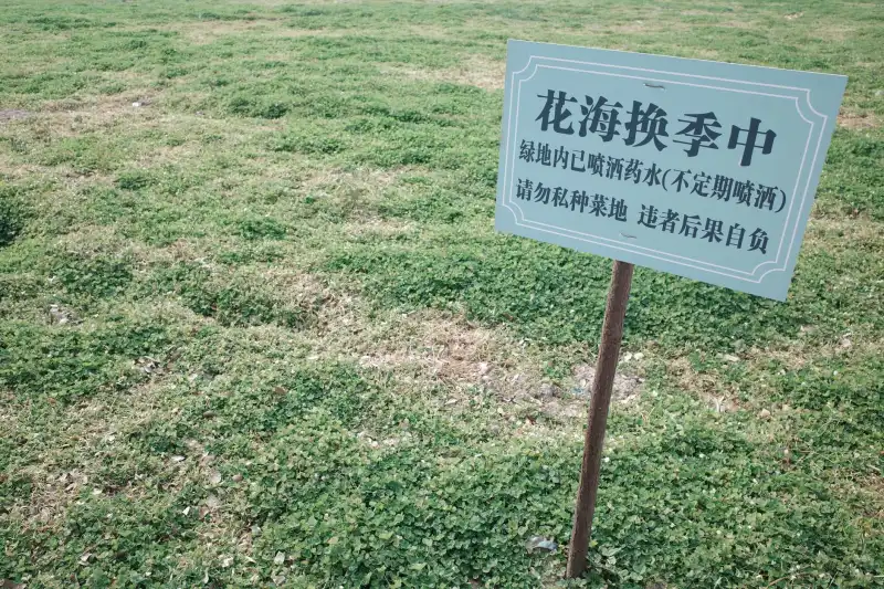 2025年企业投资决策中的市场调研新方法与实战应用