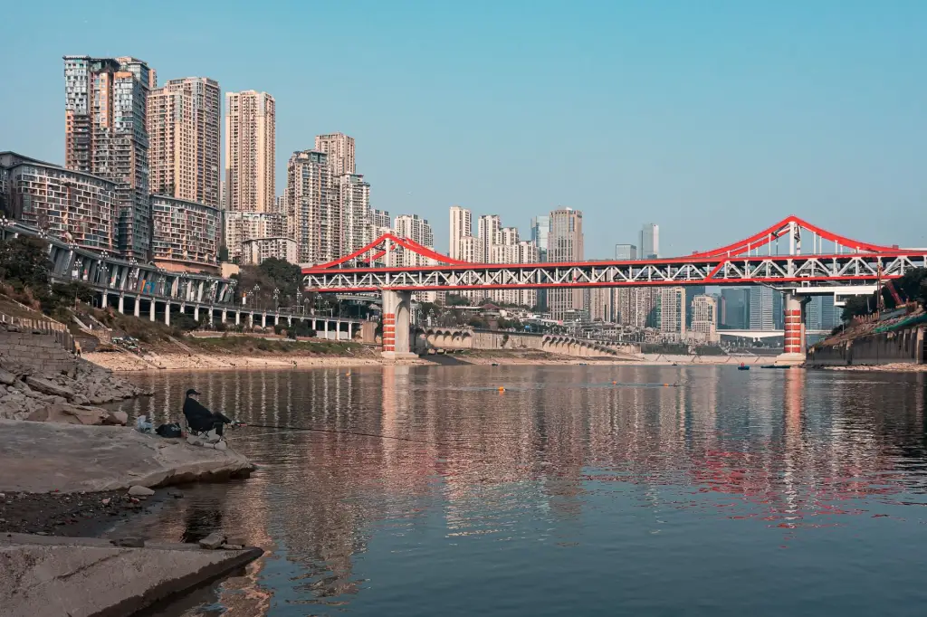 2025年企业管理与投资咨询行业最新政策法规解读