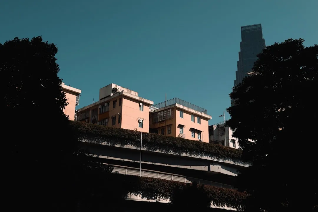 企业管理与投资咨询项目策划全流程解析