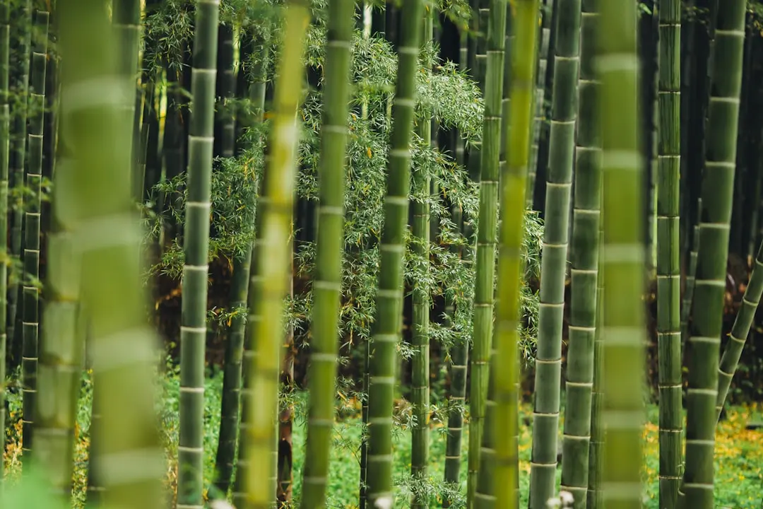 企业管理咨询服务如何助力北京企业提升运营效率与决策水平