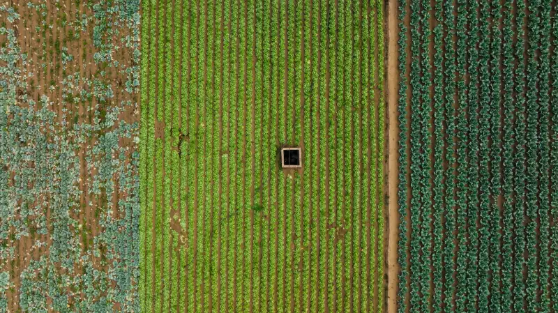 企业管理与项目策划整合方案：提升运营效率的关键路径