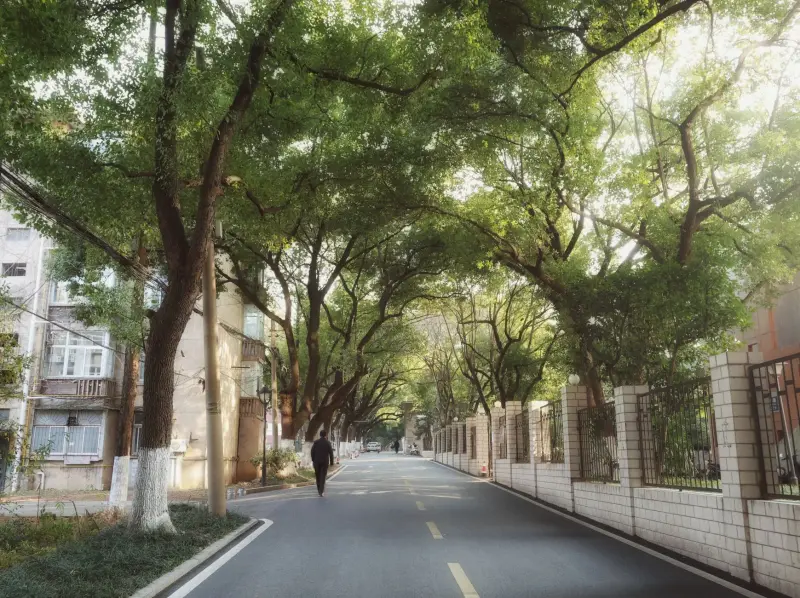 企业管理咨询项目策划全流程详解及关键节点把控